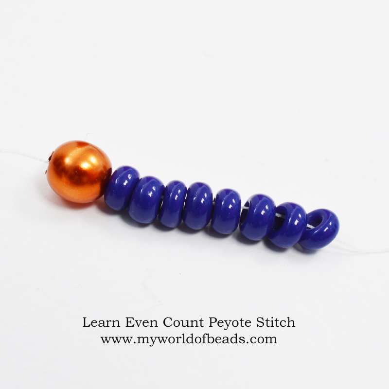 Learn even count Peyote stitch, Katie Dean, My World of Beads