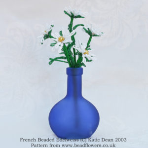 Edelweiss in vase