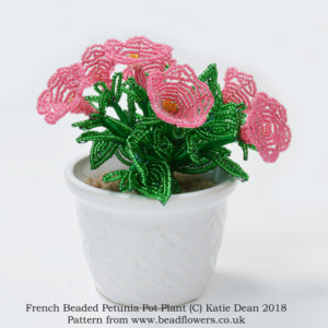 French beaded petunia