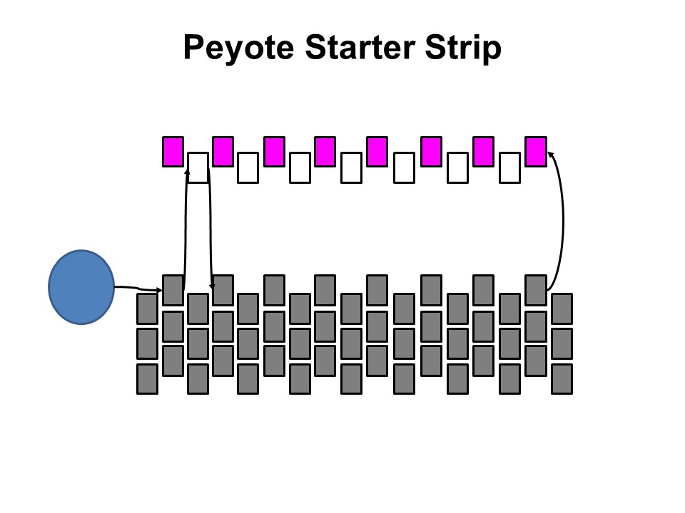 Peyote Starter Strip, Katie Dean, My World of Beads